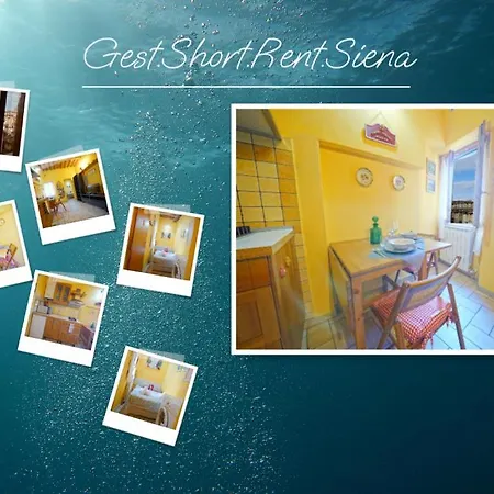 Gest Short Rent 1
