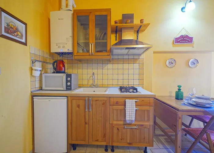 Gest Short Rent 1 * Siena